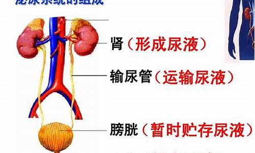 尿素一个点的概念(尿素有一点点高是怎么回事)