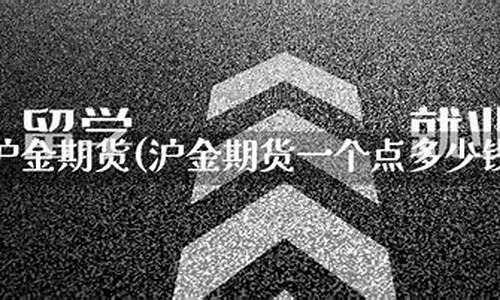 深圳沪金期货一个点多少钱(沪深300涨1个点赚多少)