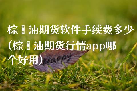 棕榈油期货软件手续费多少(棕榈油期货行情app哪个好用)