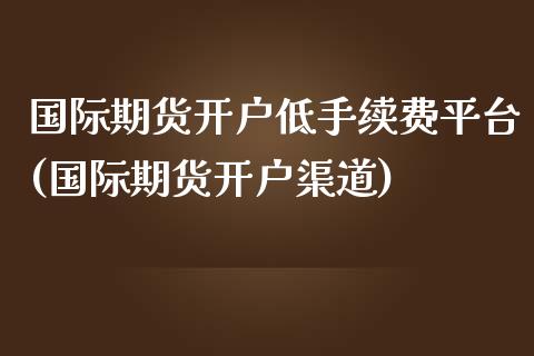 国际期货开户低手续费平台(国际期货开户渠道)