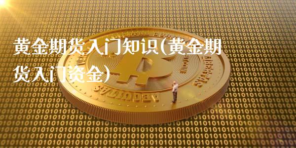 黄金期货入门知识(黄金期货入门资金)