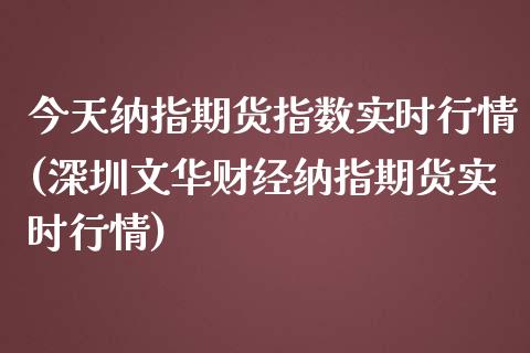 今天纳指期货指数实时行情(深圳文华财经纳指期货实时行情)