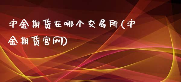 沪金期货在哪个交易所(沪金期货官网)