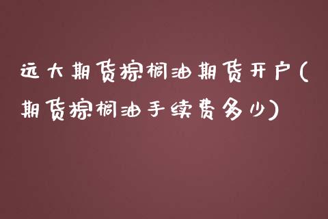 远大期货棕榈油期货开户(期货棕榈油手续费多少)