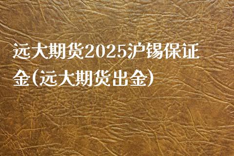 远大期货2025沪锡保证金(远大期货出金)