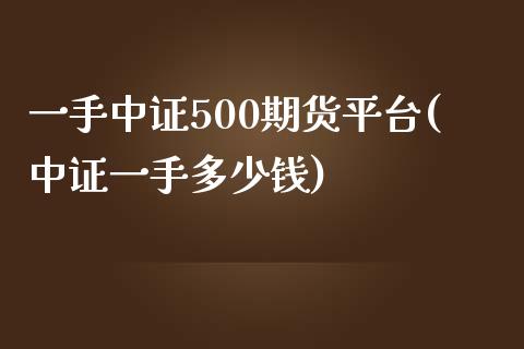 一手中证500期货平台(中证一手多少钱)