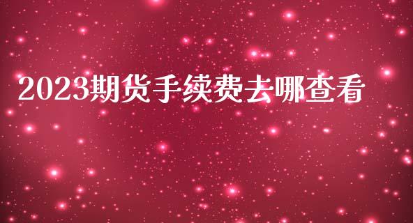 2023期货手续费去哪查看