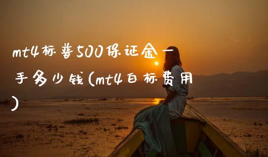 mt4标普500保证金一手多少钱(mt4白标费用)