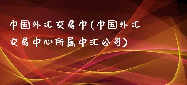 中国外汇交易中(中国外汇交易中心所属中汇公司)