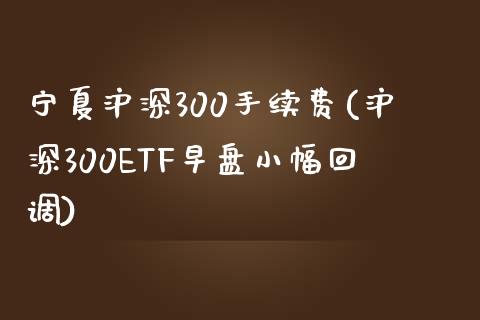 宁夏沪深300手续费(沪深300ETF早盘小幅回调)