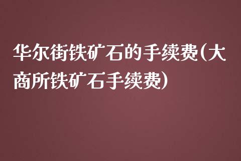 华尔街铁矿石的手续费(大商所铁矿石手续费)