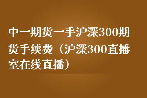 中一期货一手沪深300期货手续费（沪深300直播室在线直播）