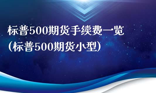 标普500期货手续费一览(标普500期货小型)