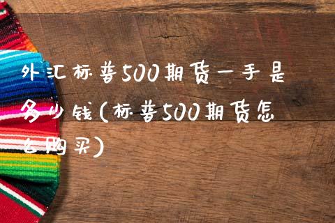 外汇标普500期货一手是多少钱(标普500期货怎么购买)