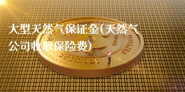 大型天然气保证金(天然气公司收取保险费)