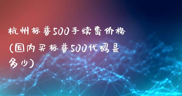 杭州标普500手续费价格(国内买标普500代码是多少)