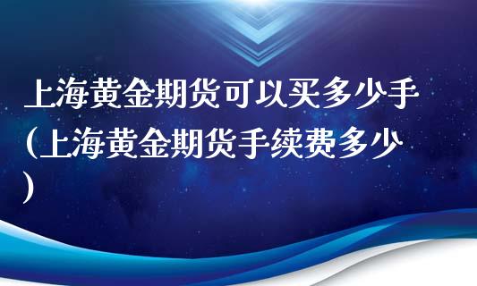 上海黄金期货可以买多少手(上海黄金期货手续费多少)