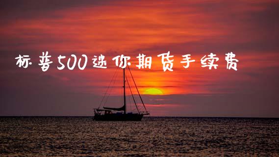 标普500迷你期货手续费