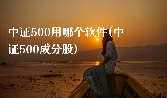 中证500用哪个软件(中证500成分股)