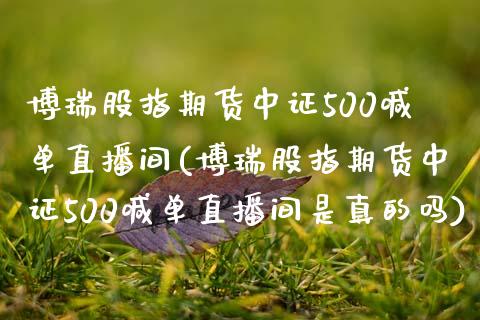 博瑞股指期货中证500喊单直播间(博瑞股指期货中证500喊单直播间是真的吗)