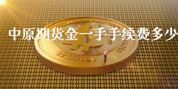 中原期货金一手手续费多少