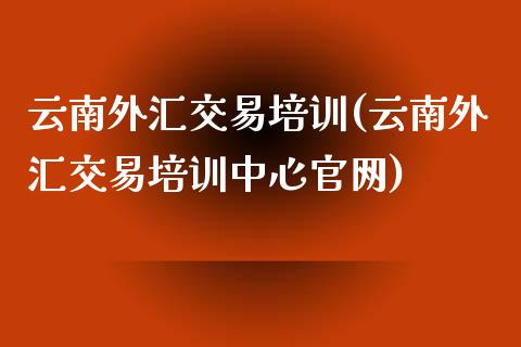 云南外汇交易培训(云南外汇交易培训中心官网)