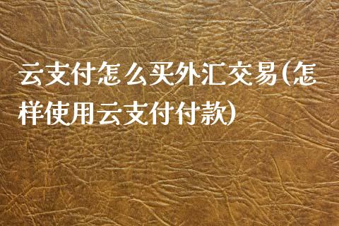 云支付怎么买外汇交易(怎样使用云支付付款)