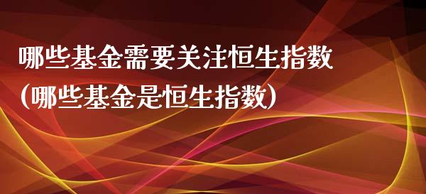 哪些基金需要关注恒生指数(哪些基金是恒生指数)