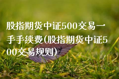 股指期货中证500交易一手手续费(股指期货中证500交易规则)