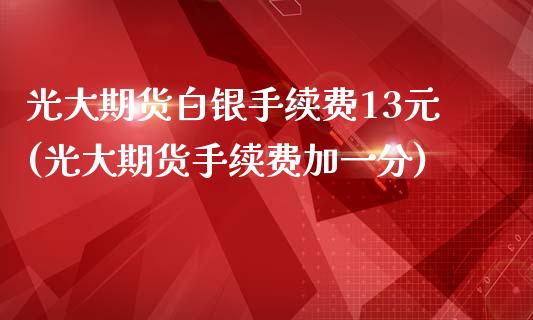 光大期货白银手续费13元(光大期货手续费加一分)