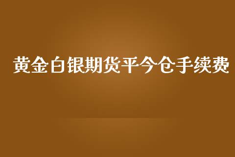 黄金白银期货平今仓手续费