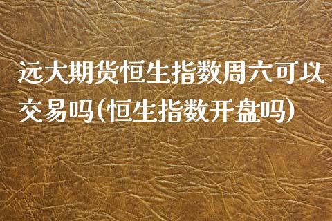 远大期货恒生指数周六可以交易吗(恒生指数开盘吗)