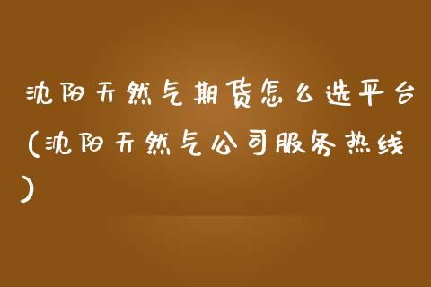 沈阳天然气期货怎么选平台(沈阳天然气公司服务热线)