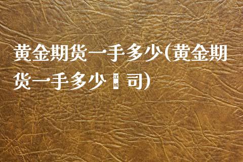 黄金期货一手多少(黄金期货一手多少盎司)