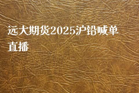 远大期货2025沪铅喊单直播