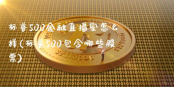 标普500金融直播室怎么样(标普500包含哪些股票)