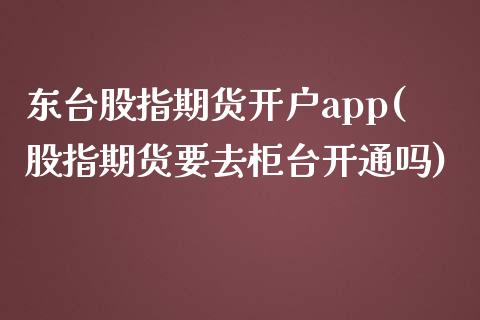 东台股指期货开户app(股指期货要去柜台开通吗)