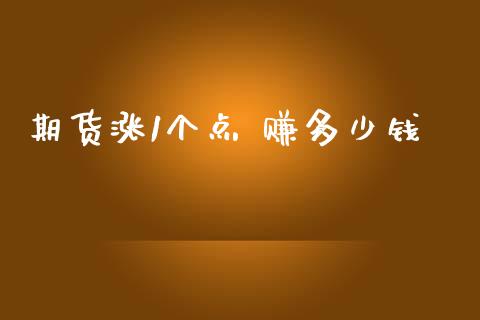 期货涨1个点 赚多少钱