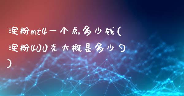 淀粉mt4一个点多少钱(淀粉400克大概是多少勺)