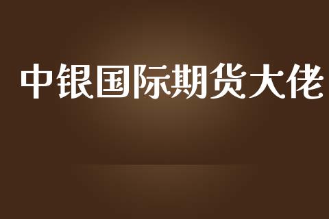 中银国际期货大佬