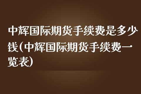 中辉国际期货手续费是多少钱(中辉国际期货手续费一览表)