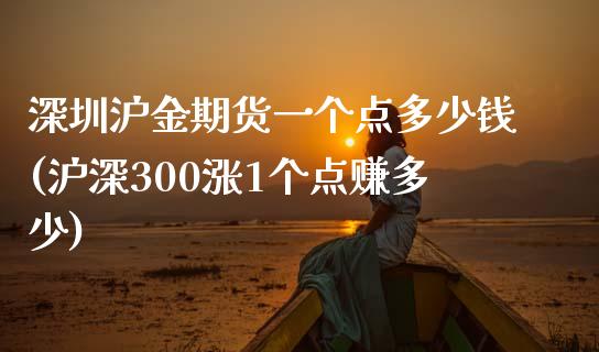 深圳沪金期货一个点多少钱(沪深300涨1个点赚多少)