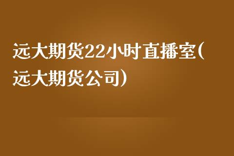 远大期货22小时直播室(远大期货公司)