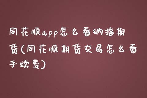 同花顺app怎么看纳指期货(同花顺期货交易怎么看手续费)