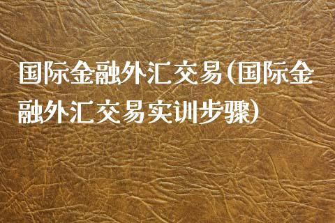 国际金融外汇交易(国际金融外汇交易实训步骤)