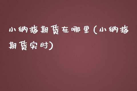 小纳指期货在哪里(小纳指期货实时)