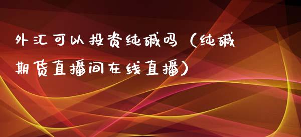 外汇可以投资纯碱吗（纯碱期货直播间在线直播）