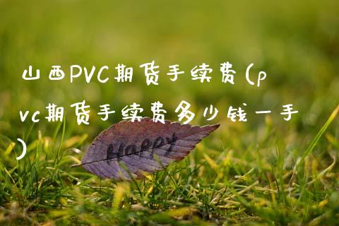 山西PVC期货手续费(pvc期货手续费多少钱一手)