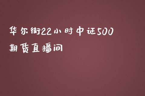 华尔街22小时中证500期货直播间