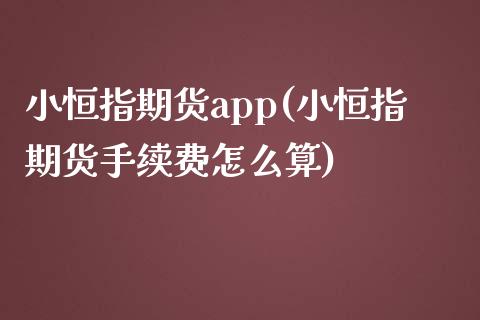 小恒指期货app(小恒指期货手续费怎么算)